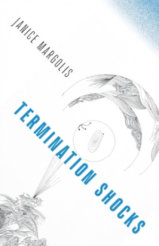 Knjiga Termination Shocks Janice Margolis