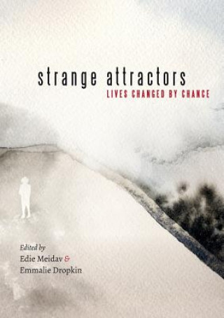 Книга Strange Attractors Edie Meidav