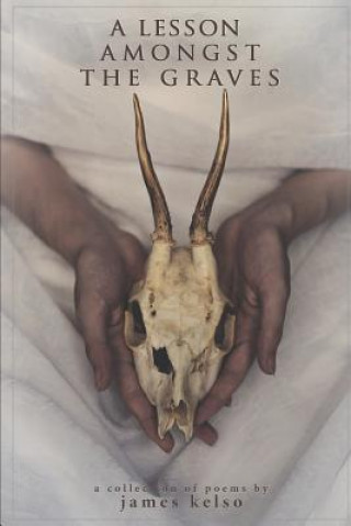 Knjiga A Lesson Amongst the Graves James Kelso