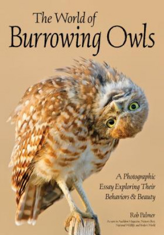 Kniha Burrowing Owls Rob Palmer