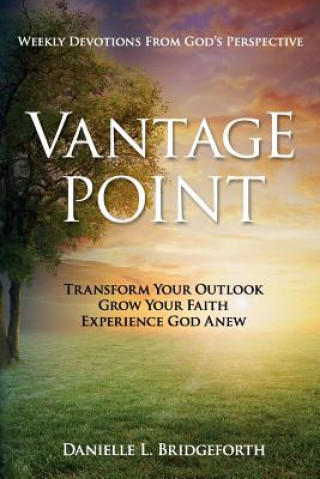Knjiga Vantage Point Danielle L Bridgeforth