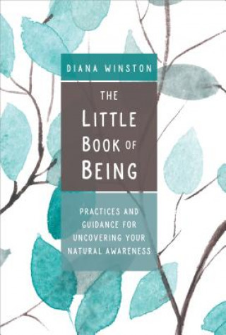 Carte Little Book of Being Diana Winston