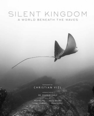 Книга Silent Kingdom Christian Vizl