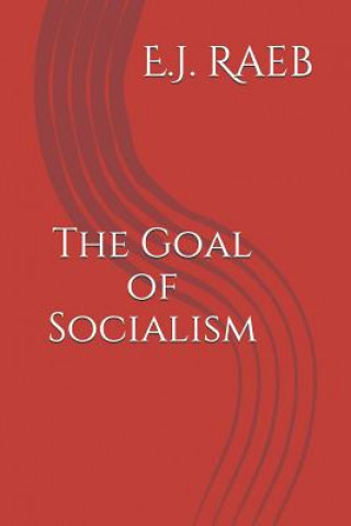 Könyv The Goal of Socialism E J Raeb