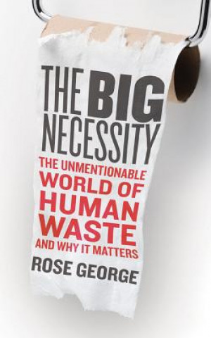 Audio BIG NECESSITY THE Rose George