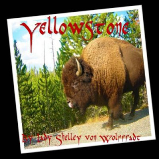 Knjiga Yellowstone Lady Shelley Von Wolffradt