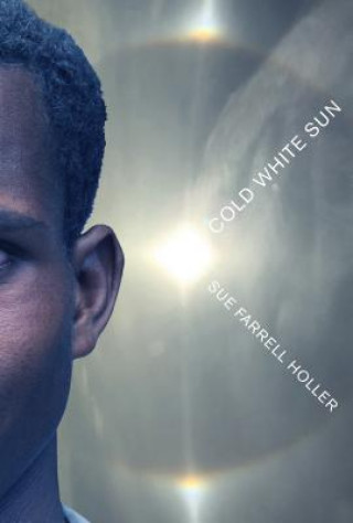 Knjiga Cold White Sun Sue Farrell Holler