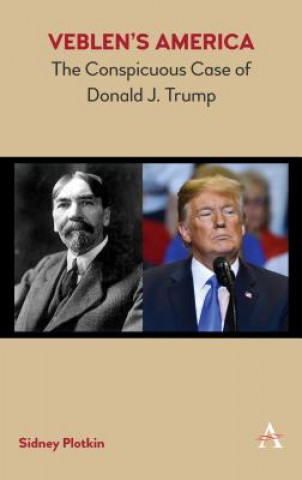 Kniha Veblen's America Sidney Plotkin