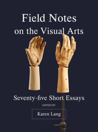 Kniha Field Notes on the Visual Arts Karen Lang