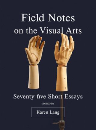 Buch Field Notes on the Visual Arts Karen Lang