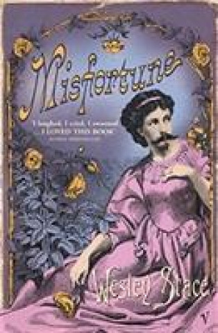 Book Misfortune Wesley Stace