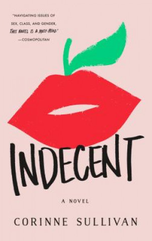 Kniha Indecent Corinne Sullivan