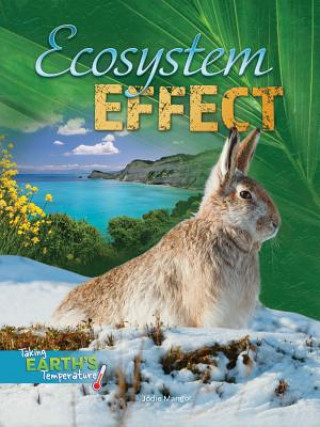 Kniha Ecosystem Effect Jodie Mangor