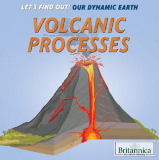 Knjiga Volcanic Processes Laura Loria