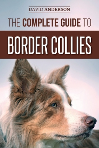 Kniha Complete Guide to Border Collies David Anderson