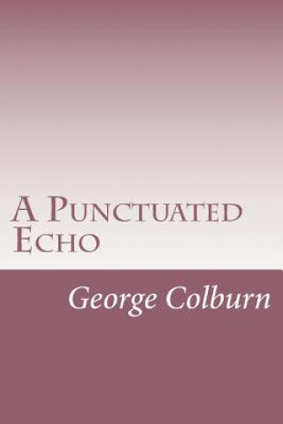 Knjiga A Punctuated Echo George C Colburn