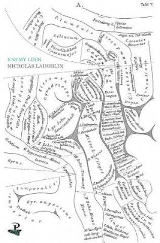 Knjiga Enemy Luck Nicholas Laughlin