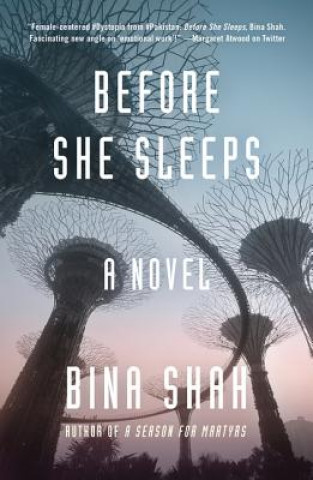 Buch Before She Sleeps Bina Shah