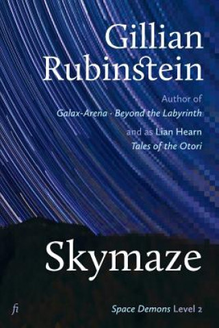 Kniha Skymaze Gillian Rubinstein