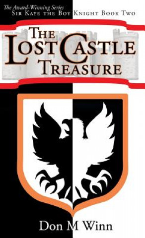 Libro Lost Castle Treasure Don M. Winn