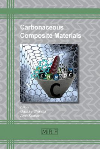 Kniha Carbonaceous Composite Materials Amit Kumar