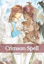 Könyv Crimson Spell, Vol. 6 Ayano Yamane