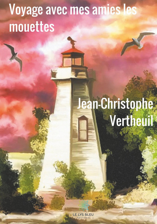 Βιβλίο Voyage avec mes amies les mouettes Jean-Christophe Vertheuil