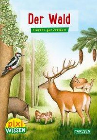 Книга Pixi Wissen 36: VE 5: Der Wald Bianca Borowski