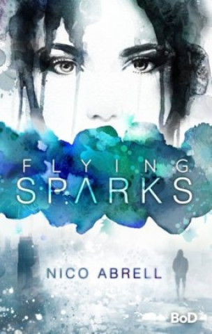 Buch Flying Sparks Nico Abrell