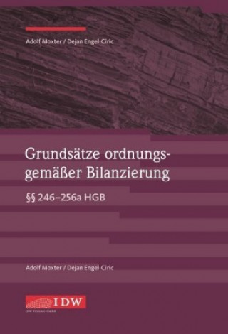 Buch Grundsätze ordnungsgemäßer Bilanzierung Dejan Engel-Ciric