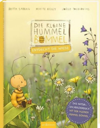 Buch Die kleine Hummel Bommel entdeckt die Wiese Britta Sabbag