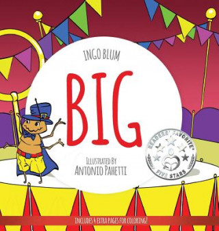 Kniha Big Ingo Blum