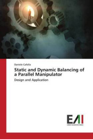 Könyv Static and Dynamic Balancing of a Parallel Manipulator Daniele Cafolla