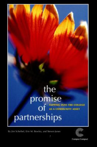 Kniha Promise of Partnership Jim Scheibel