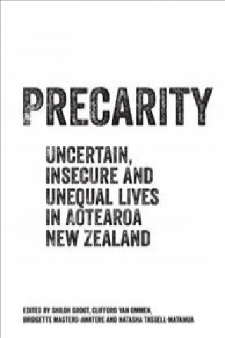Knjiga Precarity Bridgette Masters-Awatere