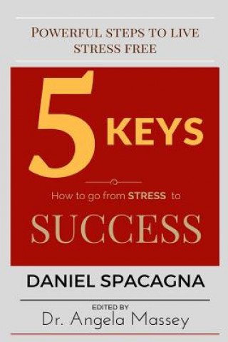 Buch 5 Keys: How to go From Stress to Success Daniel Spacagna