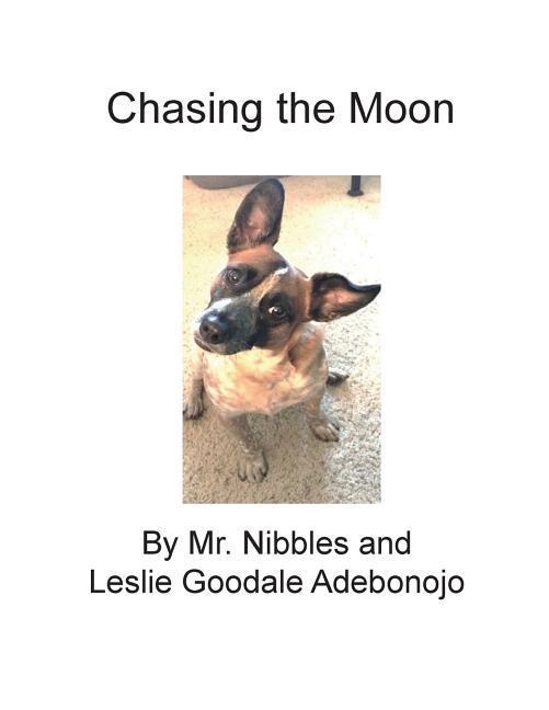 Kniha Chasing the Moon Leslie Goodale Adebonojo