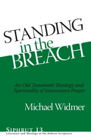 Kniha Standing in the Breach Michael Widmer