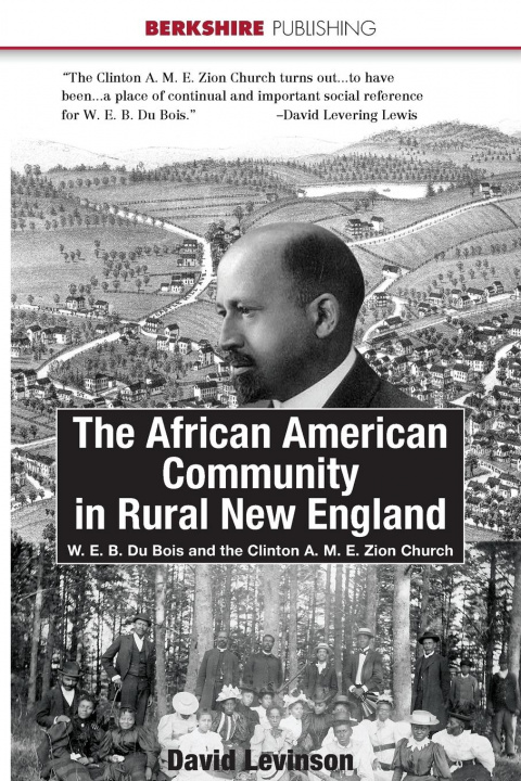 Kniha African American Community in Rural New England David H. Levinson