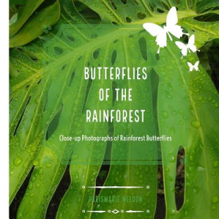 Buch Butterflies of the Rainforest Parismarie Elizabeth Weldon
