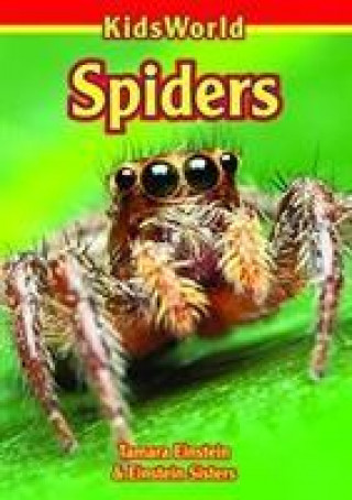 Book Spiders Tamara Hartson