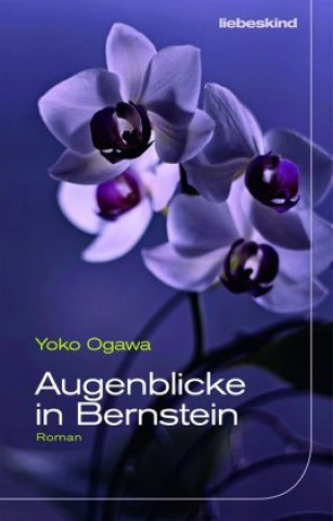 Könyv Augenblicke in Bernstein Yoko Ogawa