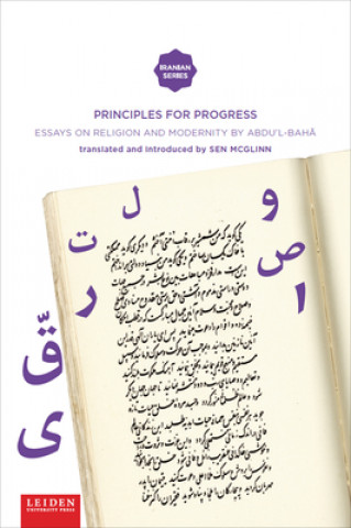 Knjiga Principles for Progress Sen McGlinn