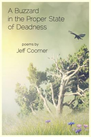 Книга A Buzzard in the Proper State of Deadness Jeff Coomer