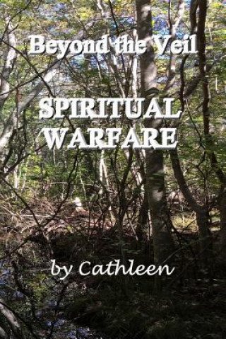 Book Beyond the Veil: Spiritual Warfare Cathleen Ryan