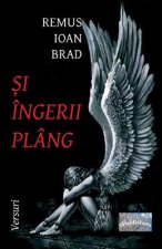 Si Ingerii Plang: Versuri