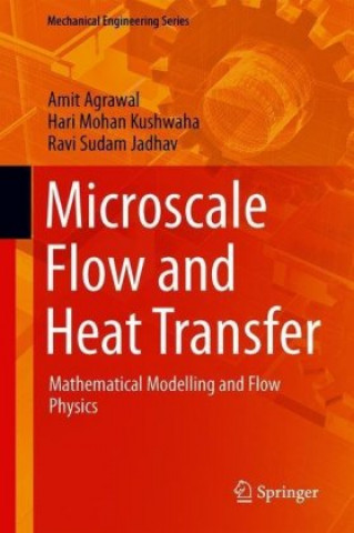 Knjiga Microscale Flow and Heat Transfer Amit Agrawal