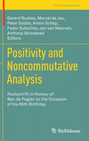 Kniha Positivity and Noncommutative Analysis Gerard Buskes