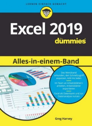 Kniha Excel 2019 Alles in einem Band fur Dummies Greg Harvey