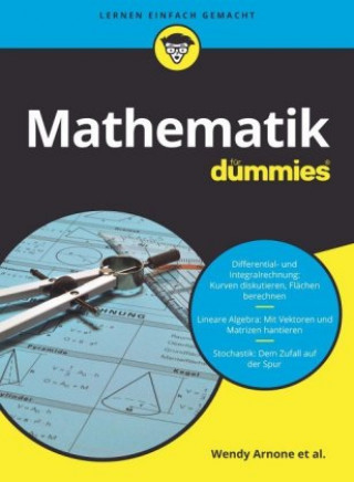 Kniha Mathematik fur Dummies Mark Ryan